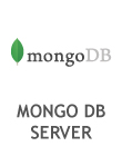 Mongo DB